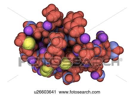 Stock Image - Molecule of scorpion chlorotoxin. Fotosearch