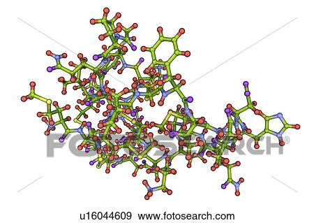 Molecule of scorpion chlorotoxin View Large Photo Image Stock Photo - Molecule of scorpion chlorotoxin. Fotosearch