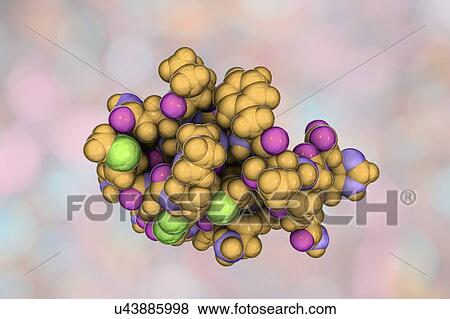 Stock Photo - Molecule of scorpion chlorotoxin. Fotosearch