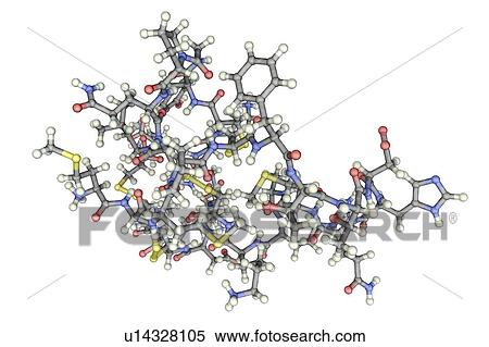 Molecule of scorpion chlorotoxin View Large Photo Image Stock Photography - Molecule of scorpion chlorotoxin. Fotosearch