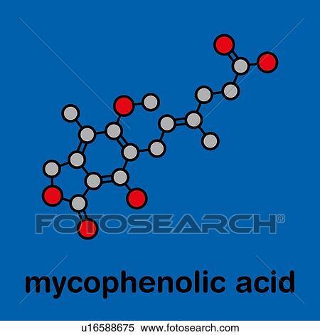 Mycophenolate immunosuppressive drug, molecular model View Large Photo Image Stock Photography - Mycophenolate immunosuppressive drug, molecular model. Fotosearch