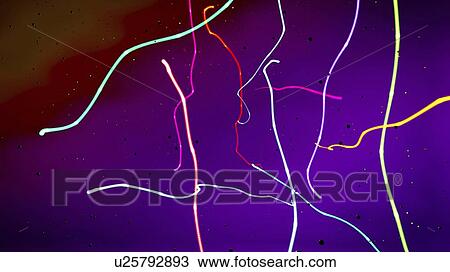 Neon streamers, illustration View Large Photo Image Stock Image - Neon streamers, illustration. Fotosearch