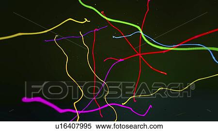 Neon streamers, illustration View Large Photo Image Stock Photography - Neon streamers, illustration. Fotosearch