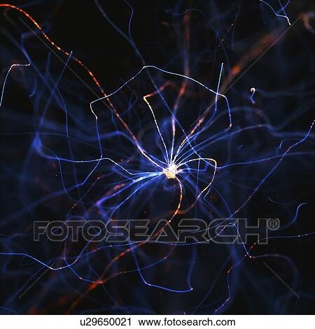 Nerve cell, computer illustration. View Large Photo Image Stock Image - Nerve cell, computer illustration.. Fotosearch