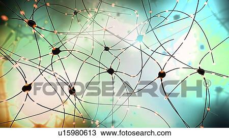 Stock Image - Nerve cells, illustration. Fotosearch