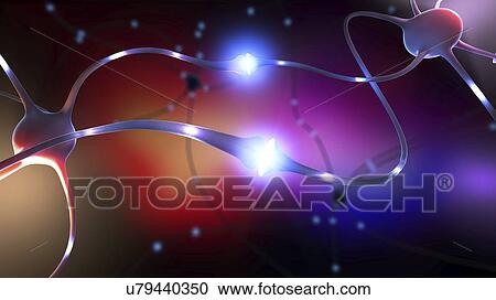Nerve cells, illustration View Large Photo Image Stock Image - Nerve cells, illustration. Fotosearch