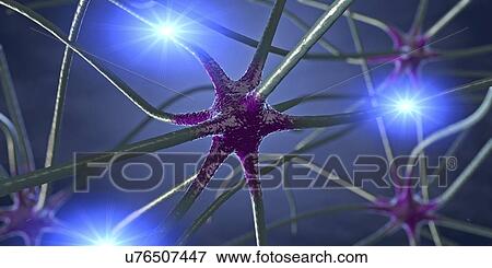 Nerve cells, illustration View Large Photo Image Stock Photo - Nerve cells, illustration. Fotosearch