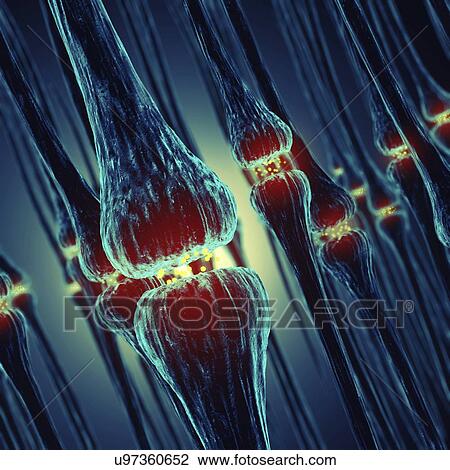 Nerve synapses, illustration View Large Photo Image Stock Image - Nerve synapses, illustration. Fotosearch