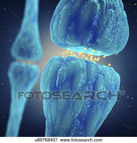 Nerve synapses, illustration View Large Photo Image Stock Photo - Nerve synapses, illustration. Fotosearch