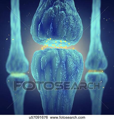 Stock Photograph - Nerve synapses, illustration. Fotosearch