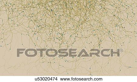 Picture - Network, illustration. Fotosearch