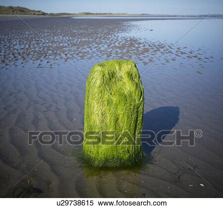 Stock Photography - Newcastle Bay, Northern Ireland, UK. Fotosearch