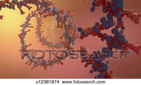 Picture - Nucleic acid, illustration. Fotosearch