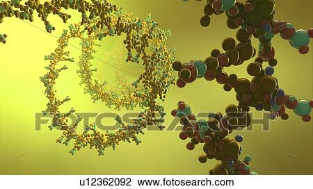 Stock Image - Nucleic acid, illustration. Fotosearch