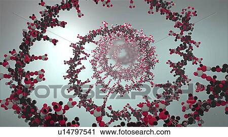 Stock Image - Nucleic acid, illustration. Fotosearch