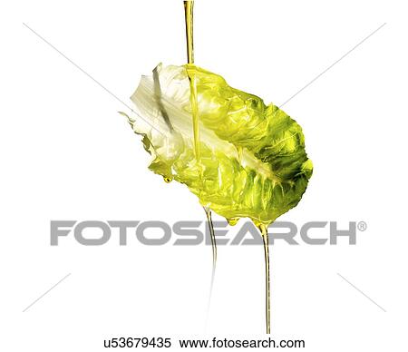 Oil pouring on lettuce leaf View Large Photo Image Stock Photography - Oil pouring on lettuce leaf. Fotosearch