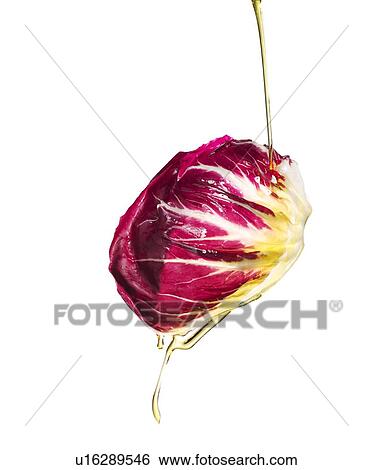 Stock Photograph - Oil pouring on radicchio leaf. Fotosearch