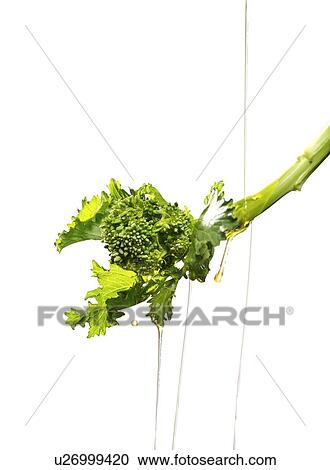 Stock Image - Oil pouring on tender stem broccoli. Fotosearch