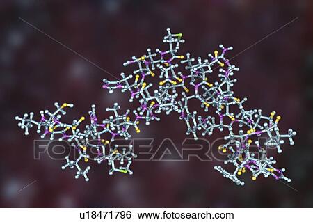 Stock Photograph - Parathyroid hormone, molecular model. Fotosearch