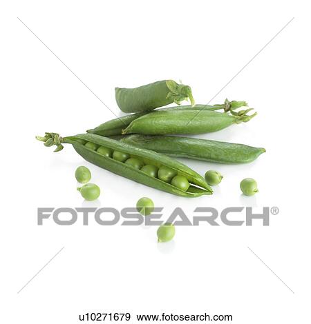 Stock Photo - Pea pods.. Fotosearch