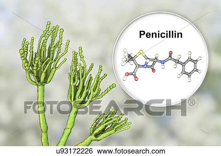 Stock Photograph - Penicillium fungus and antibiotic penicillin, illustration. Fotosearch
