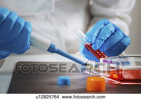 Picture - Pipetting sample. Fotosearch