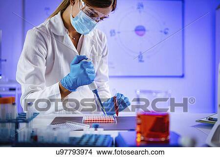 Pipetting sample View Large Photo Image Picture - Pipetting sample. Fotosearch