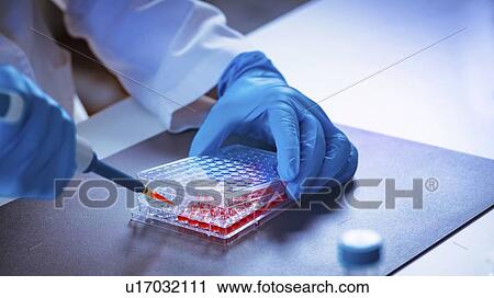 Pipetting sample View Large Photo Image Stock Image - Pipetting sample. Fotosearch