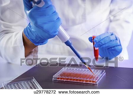 Pipetting sample View Large Photo Image Stock Image - Pipetting sample. Fotosearch
