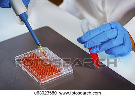 Stock Image - Pipetting sample. Fotosearch