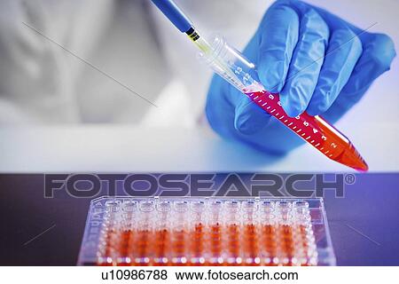 Stock Photo - Pipetting sample. Fotosearch