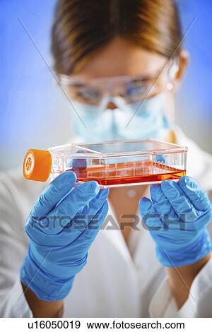 Stock Photo - Pipetting sample. Fotosearch