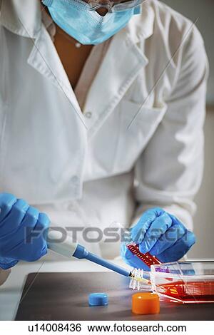 Stock Photograph - Pipetting sample. Fotosearch
