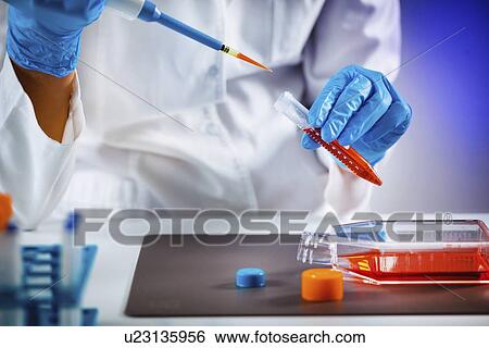 Stock Photograph - Pipetting sample. Fotosearch
