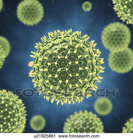 Stock Image - Pollen grains, illustration. Fotosearch