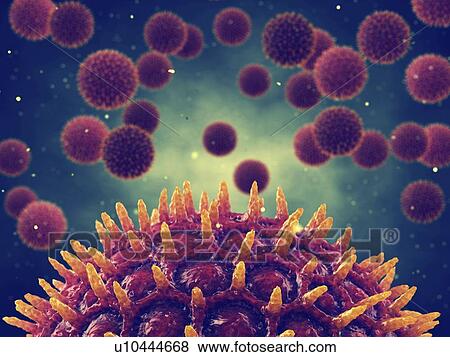 Pollen grains, illustration View Large Photo Image Stock Photo - Pollen grains, illustration. Fotosearch