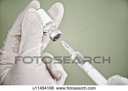 Preparing vaccine View Large Photo Image Stock Photo - Preparing vaccine. Fotosearch