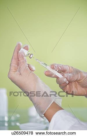 Preparing vaccine View Large Photo Image Stock Photo - Preparing vaccine. Fotosearch
