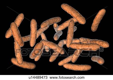 Probiotic bacteria, illustration View Large Photo Image Stock Image - Probiotic bacteria, illustration. Fotosearch