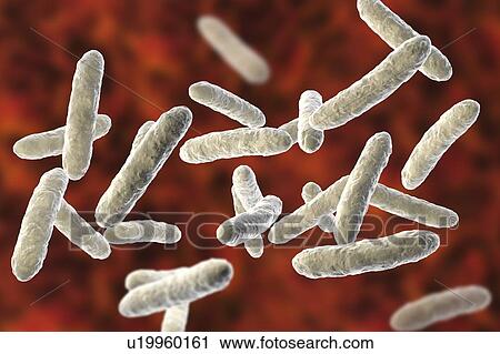 Probiotic bacteria, illustration View Large Photo Image Stock Image - Probiotic bacteria, illustration. Fotosearch