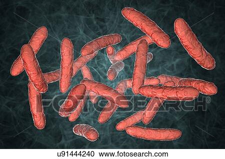Probiotic bacteria, illustration View Large Photo Image Stock Image - Probiotic bacteria, illustration. Fotosearch