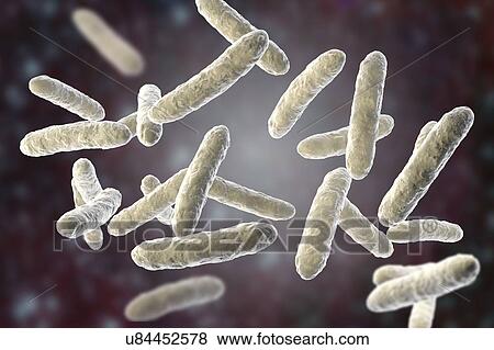 Probiotic bacteria, illustration View Large Photo Image Stock Photo - Probiotic bacteria, illustration. Fotosearch