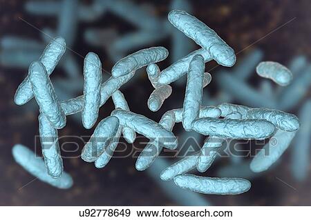 Stock Photo - Probiotic bacteria, illustration. Fotosearch