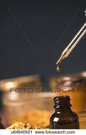 Propolis drop close up View Large Photo Image Stock Image - Propolis drop close up. Fotosearch