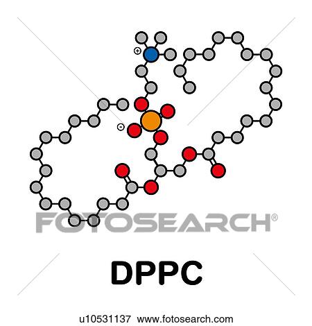 Pulmonary surfactant, molecular model View Large Photo Image Stock Photo - Pulmonary surfactant, molecular model. Fotosearch