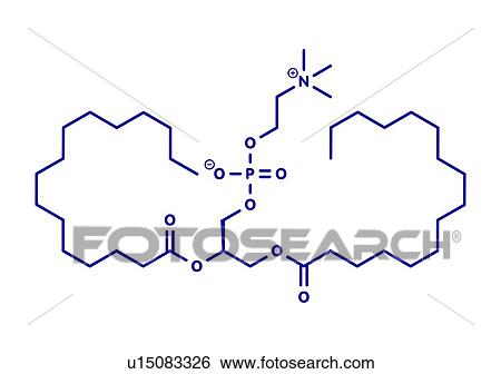 Pulmonary surfactant, molecular model View Large Photo Image Stock Photograph - Pulmonary surfactant, molecular model. Fotosearch