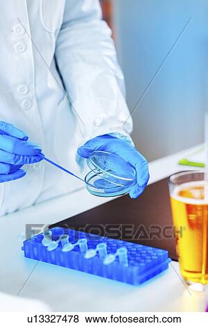 Stock Photo - Quality control of beer. Fotosearch