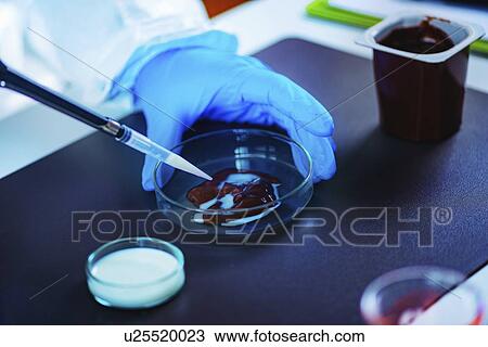 Stock Image - Quality control of chocolate pudding. Fotosearch