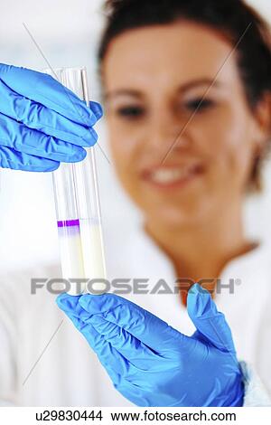 Picture - Quality control of milk. Fotosearch