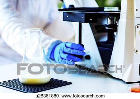 Quality control of milk View Large Photo Image Stock Image - Quality control of milk. Fotosearch
